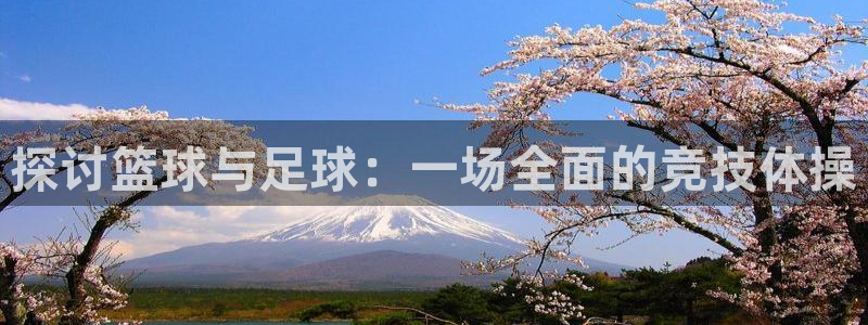 凯发官方正版app集团E.ON:探讨篮球与足球:一场全面的竞