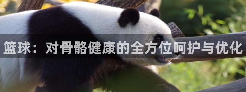 凯发官方集团官网:篮球:对骨骼健康的全方位呵护与优化
