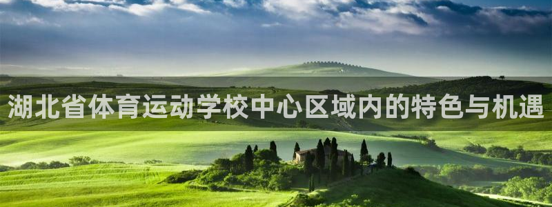凯发官方集团官网:湖北省体育运动学校中心区域内的特色与机遇