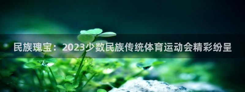 德国凯发官方正版app集团:民族瑰宝:2023少数民族传统体