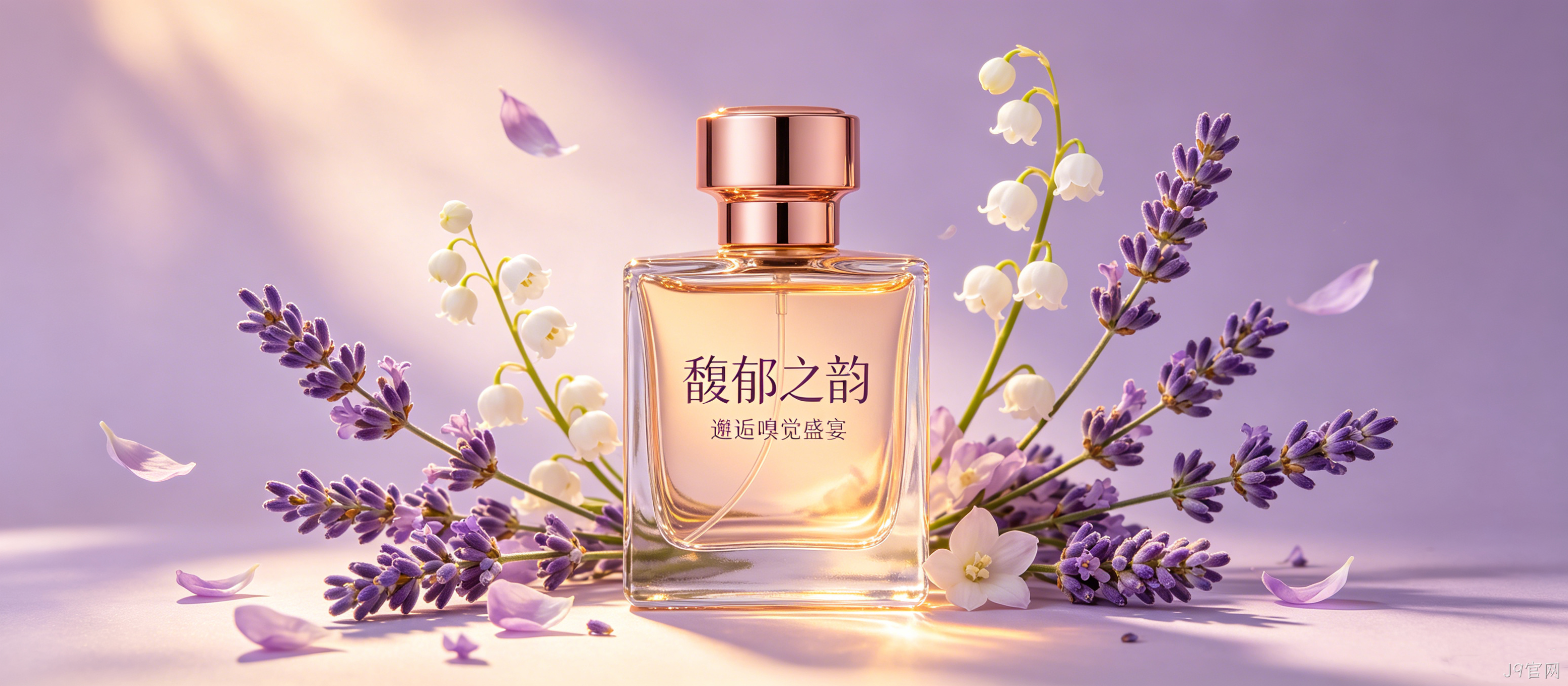 香水品牌官网定制案例｜J9官网打造轻奢香氛品牌门户