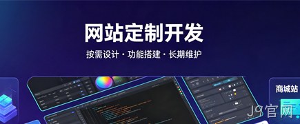 各类型网站定制开发